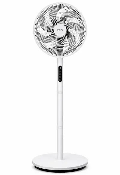Fans